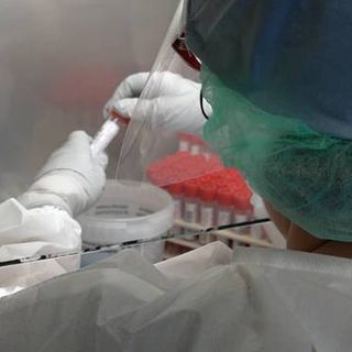 Coronavirus, i dati di mercoledì 13 gennaio: nel Varesotto 218 contagi. Varese +23, Busto+19, Gallarate +7, Saronno +9