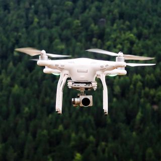 Volo in area protetta e disturbo della fauna: multa da oltre mille euro per due piloti di droni
