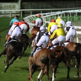 Divertimento e passione, sabato al fresco all'ippodromo: analisi, favoriti e partenti