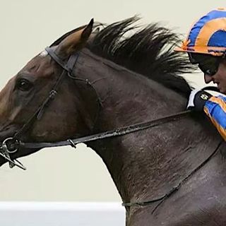 Dettori, Tomasini, Gonnelli e Grizzetti fanno le carte al clou di stasera all'ippodromo