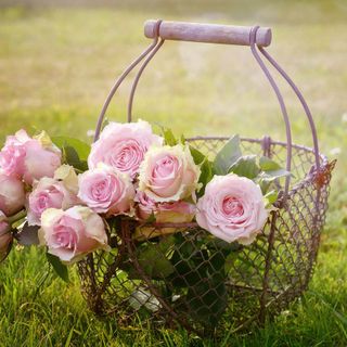 Fioriere da giardino: la guida completa all’acquisto