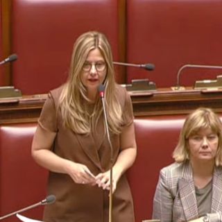 Campi Flegrei, Gadda: «Governo risponda su mutui e cronoprogramma interventi»