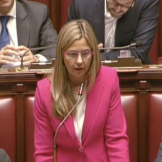 Problemi al Sian, Gadda chiede spiegazioni: «Il Governo indebolisce le filiere vitivinicole»