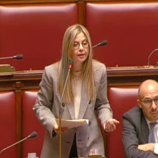 Dl liste d’attesa, Gadda (Iv): «Era solo campagna elettorale»