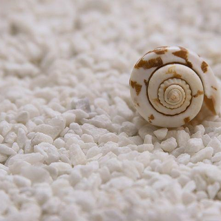 GreenLife: vanno in scena i profumi per il nostro benessere
