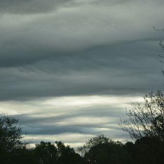 (foto P. Valisa - CGP)