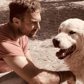 Aggressione a Casbeno, si cerca ancora il cane. L'esperto: «Sono animali diffidenti ma estremamente territoriali»