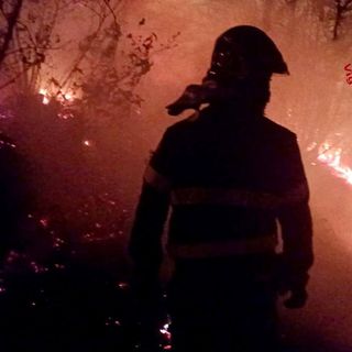 Canadair in azione per domare l'incendio di Angera