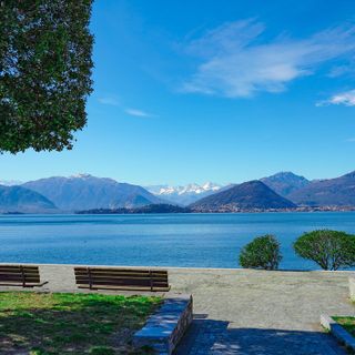 «Con &quot;Incubatoio naturale&quot; salviamo i pesci del Lago Maggiore»