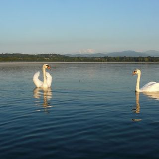 “L’Acqua siAMO noi”: gita con spettacolo sul lago di Varese