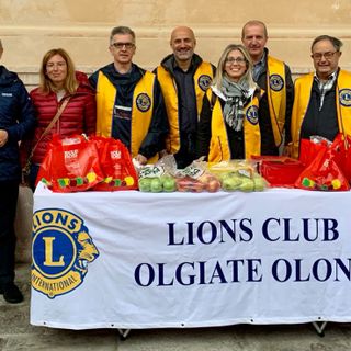 Lions Club Olgiate Olona, «il bello di aiutare il territorio»