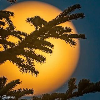 Spettacolo in cielo oggi, venerdì 12 agosto, con l’ultima Superluna dell’anno (e non solo)