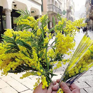 Futuro... è Donna?