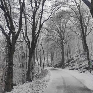 La nevicata in corso questa mattina, venerdì 5 gennaio, al Campo dei Fiori
