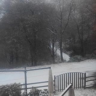 Ieri la prima neve al Campo dei Fiori (ringraziamo per la foto il nostro lettore Olgher)