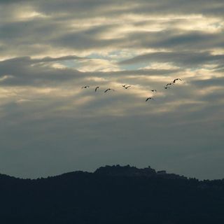Nuvole e qualche goccia in attesa di piogge più importanti previste per sabato. Temperature giù