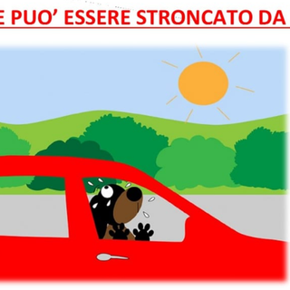«Non lasciate il cane in auto con questa afa: non ci faremo problemi a rompere i finestrini»