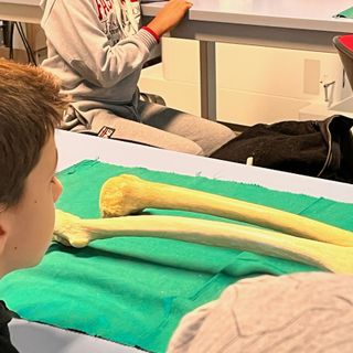 Notte europea delle ricercatrici e dei ricercatori: gli eventi dell’Università dell’Insubria a Varese e Busto Arsizio
