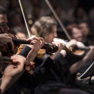 La European Young Orchestra in scena in Lombardia