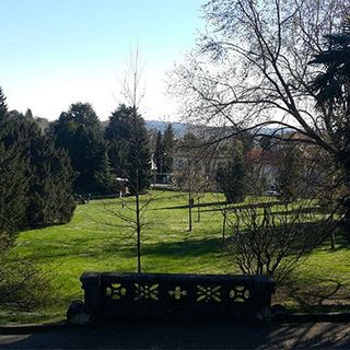 Online il bando per la gestione di un nuovo chiosco nel parco Mantegazza di Masnago