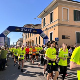 Una domenica di Sport a Castellanza: più di mille atleti al via della Liuc Run