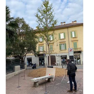 Lavori in corso in via Veratti, si disegna la &quot;casa&quot; del nuovo piantone