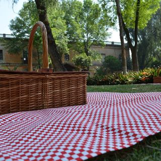 Da domani ci attendono tre giorni ideali per pic nic e grigliate