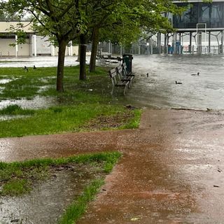 Il lago continua ad avanzare nella zona della Canottieri, davanti ai Ristoranti Vecchia Riva e Mariuccia. Completamente sommersa riva, panchine e spiaggia dei fotografi