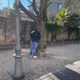 Ore 14, pieno centro di Varese: se scappa, scappa... e così un uomo si &quot;libera&quot; di un peso nel viale alberato di via Dandolo