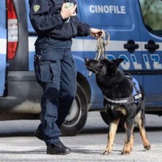 Blitz della polizia contro lo spaccio al Parco Pineta: identificate 118 persone, 20 avevano precedenti