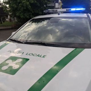 Aggredito ripetutamente dal proprio cane: per uscire di casa chiede aiuto alla polizia locale