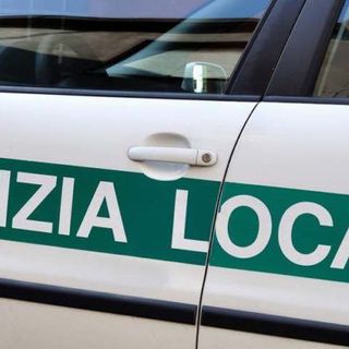 Aggredisce gli agenti della Polizia locale: arrestato‍ camionista varesino