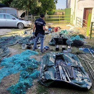 Razzia di pesci catturati con l’elettricità: blitz dei forestali anche in provincia di Varese. L'indagine è partita grazie alle segnalazioni dei pescatori