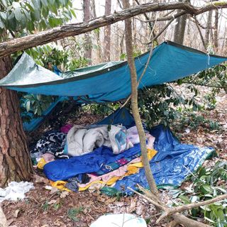 FOTO.Parco Pineta, ripulita la discarica abusiva. Smantellati anche gli accampamenti dei pusher