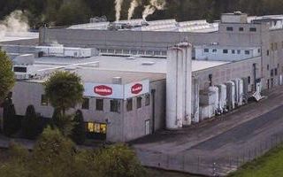 Invasione di scoiattoli in centro a Saronno