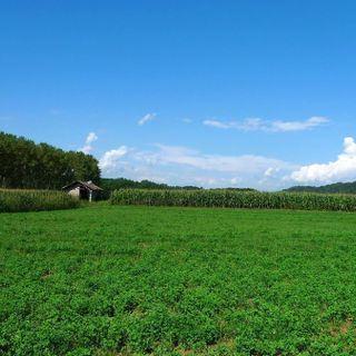 Domenica con punte di 26 gradi. Ma in settimana tornano nuvole e temporali
