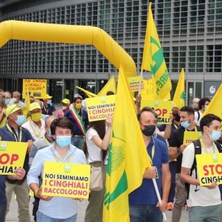 &quot;Noi seminiamo, i cinghiali raccolgono&quot;: rabbia e proteste degli agricoltori davanti alla Regione