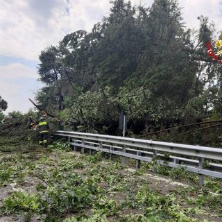 Uno dei tanti interventi dei vigili del fuoco per piante abbattute durante la violentissima ondata di maltempo di metà settimana