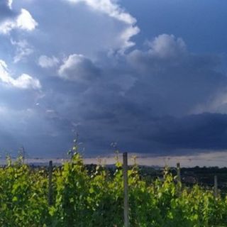 CHE TEMPO FARÀ. Oggi e domani potrebbero essere toccati i 30 gradi. Ma tornano i temporali