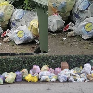 VIDEO. Rifiuti, i topi ballano in via Lamarmora
