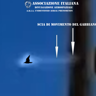 A.R.I.A. smentisce l'avvistamento UFO a Genova: "Era un gabbiano" (FOTO)