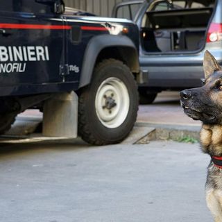 Unità cinofile tra la movida e in piazza Repubblica, droga nelle fioriere e 5 giovani segnalati
