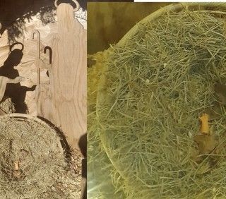 Furto del Gesù Bambino dal presepe di Fagnano Olona: denunciati due sedicenni