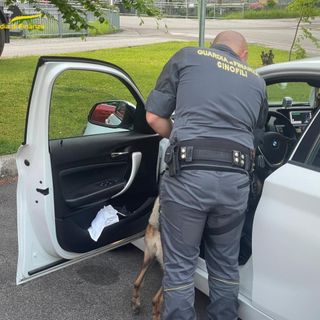Spacciava droga sul lago di Como, in manette un pusher marocchino
