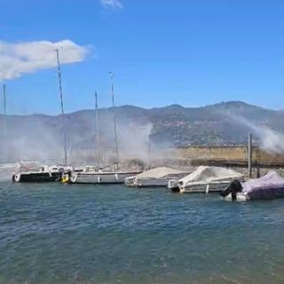 VIDEO e FOTO. Le folate di vento sferzano il lago Maggiore, albero sradicato ad Angera