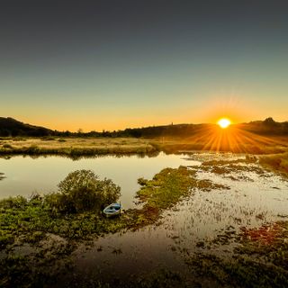 Palude Brabbia Palude Brabbia