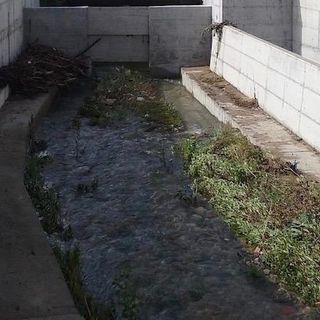Transizione ecologica: gli alunni della scuola Vidoletti protagonisti di un Centro di Sostenibilità Permanente