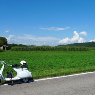 Si annuncia una domenica da gite (foto Mario Chiodetti)