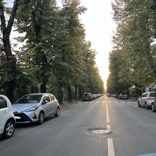 Viale Lombardia