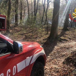 VIDEO. Marchirolo, bosco in fiamme in via Pietro Bozzolo, presidio dei vigili del fuoco per tutta la notte